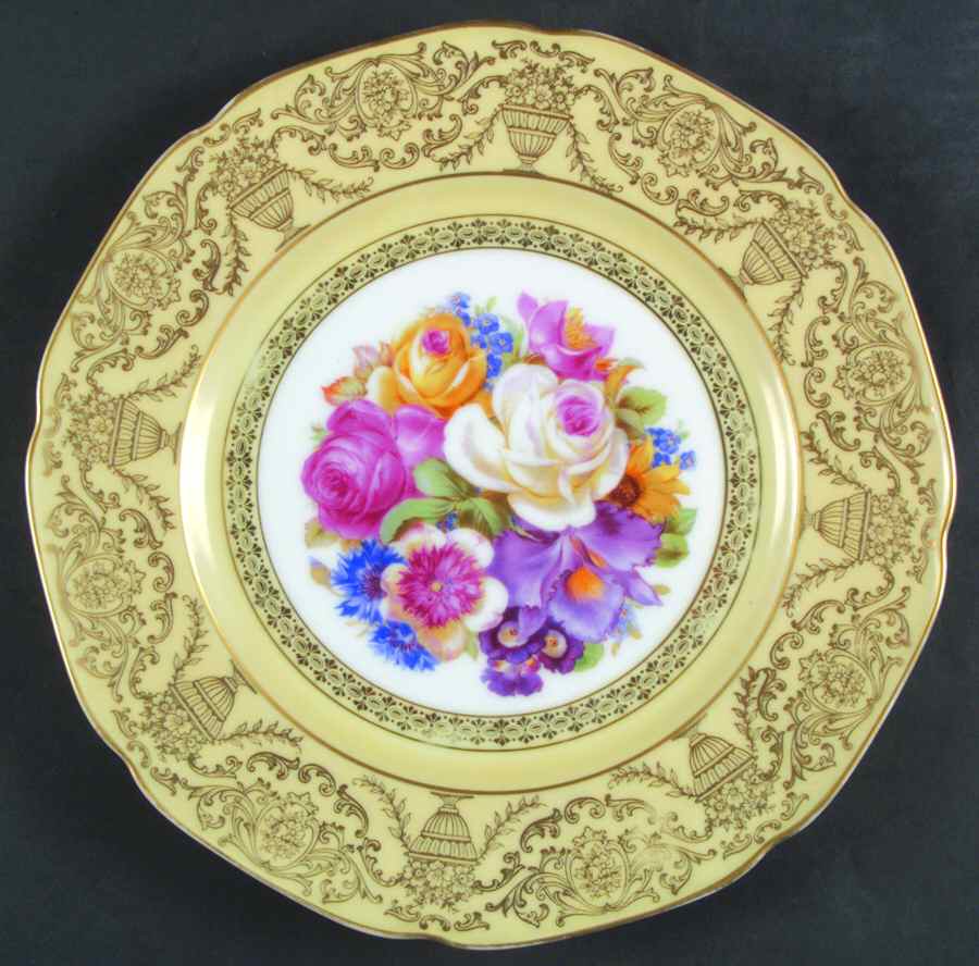 TIR169 Dinner Plate by Tirschenreuth-1