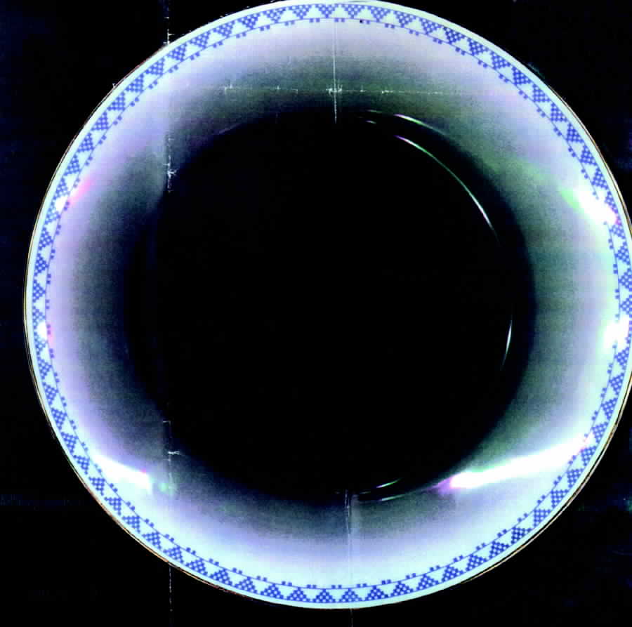 2836 Dinner Plate by Thomas-1