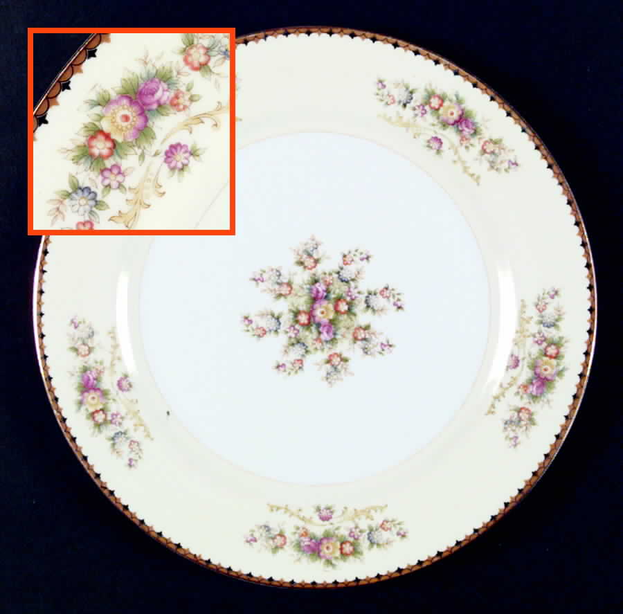 TI2 Dinner Plate by Trico-1