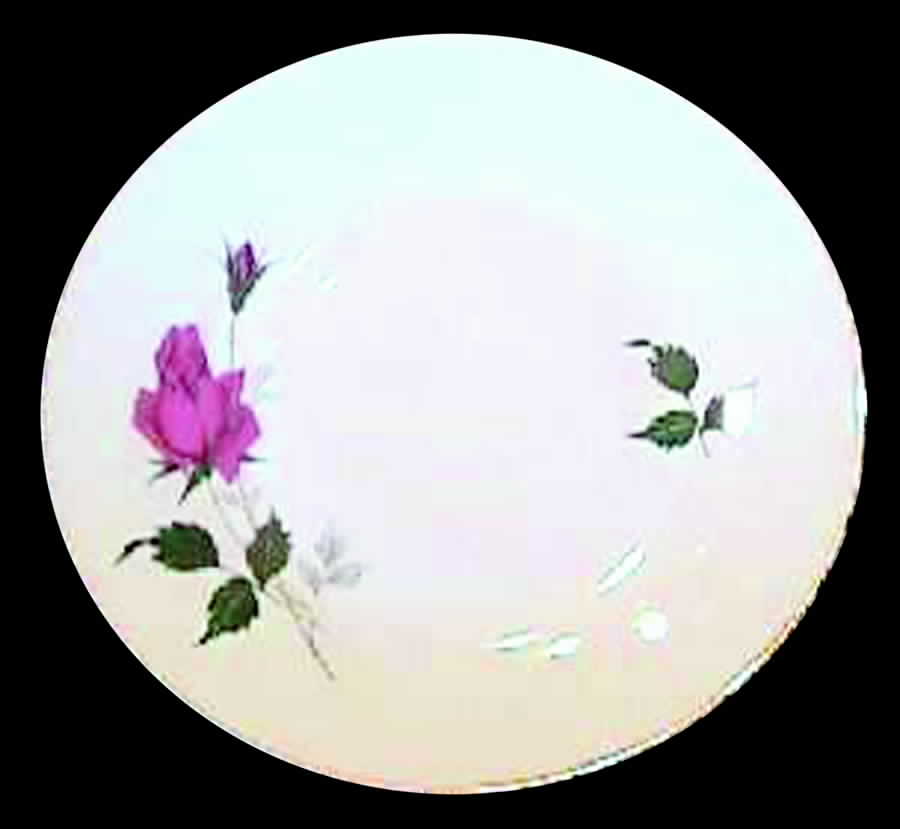 TIR174 Coupe Soup Bowl by Tirschenreuth-1