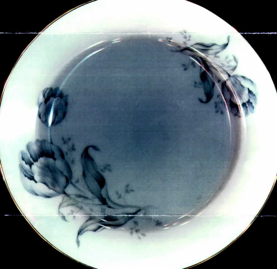 7464 Dinner Plate by Thomas-1