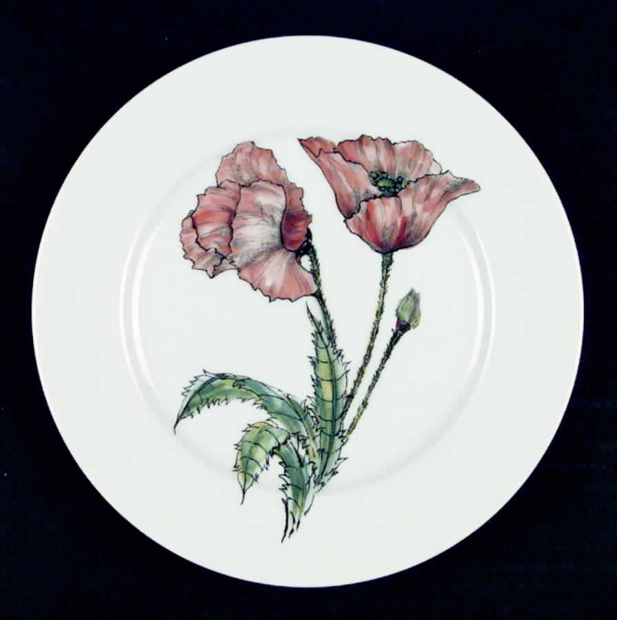 TAS9 Salad Plate by Taste Setter-1