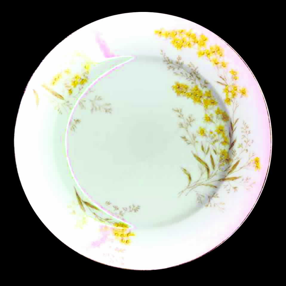 TRV204 Dinner Plate by Tressemanes & Vogt-1