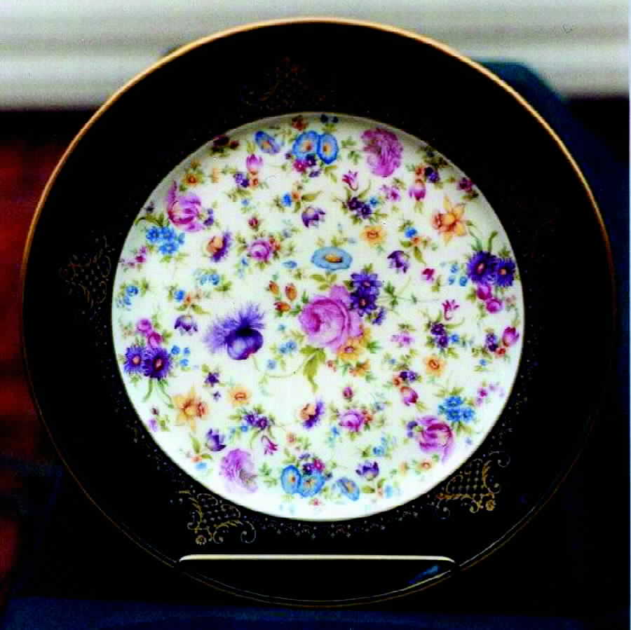THO142 Bread & Butter Plate by Thomas-1