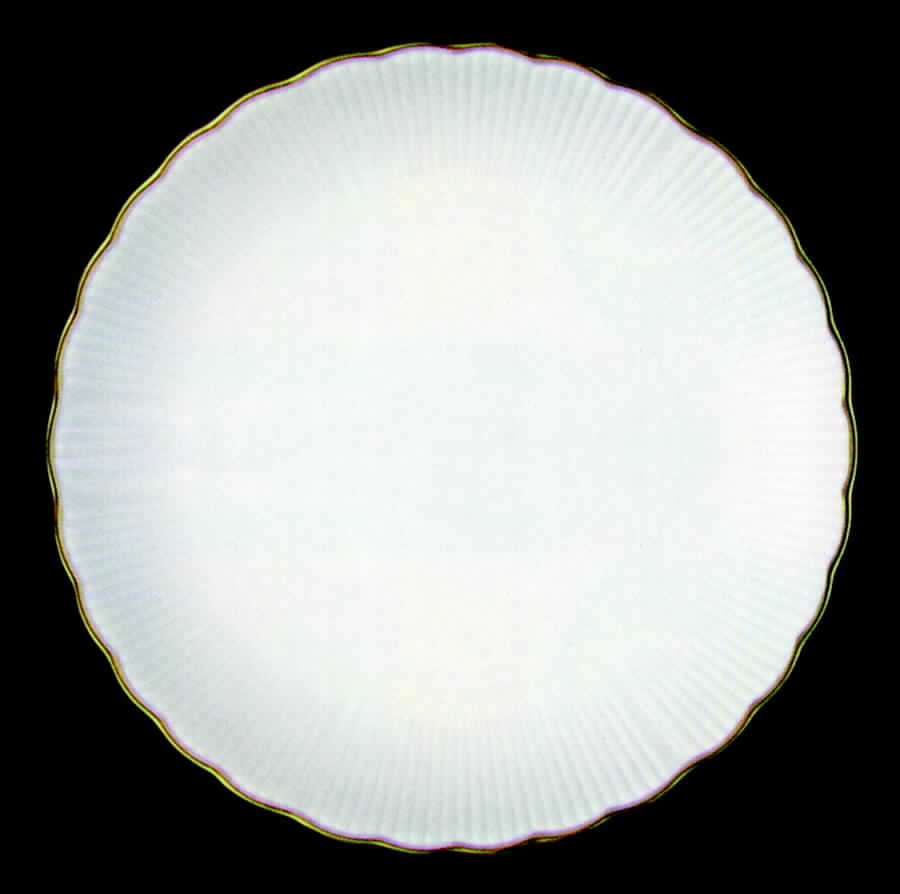 Contessa Dinner Plate by Tirschenreuth-1