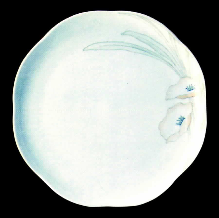 27002 Dinner Plate by Tirschenreuth-1