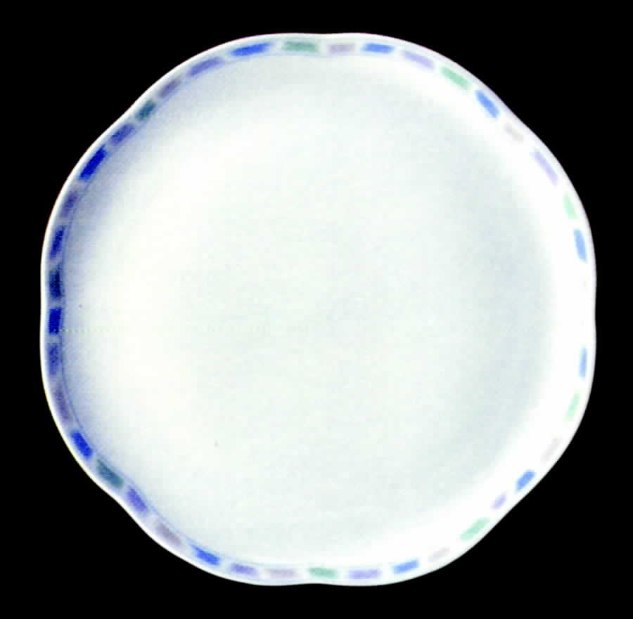 27009 Dinner Plate by Tirschenreuth-1