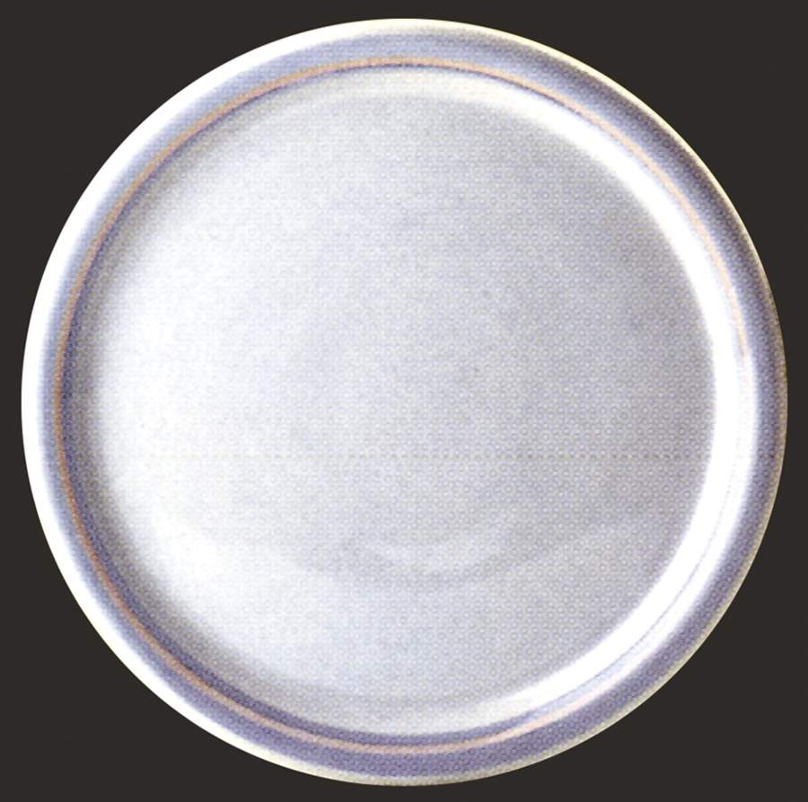 Steffi Dinner Plate by Tirschenreuth-1