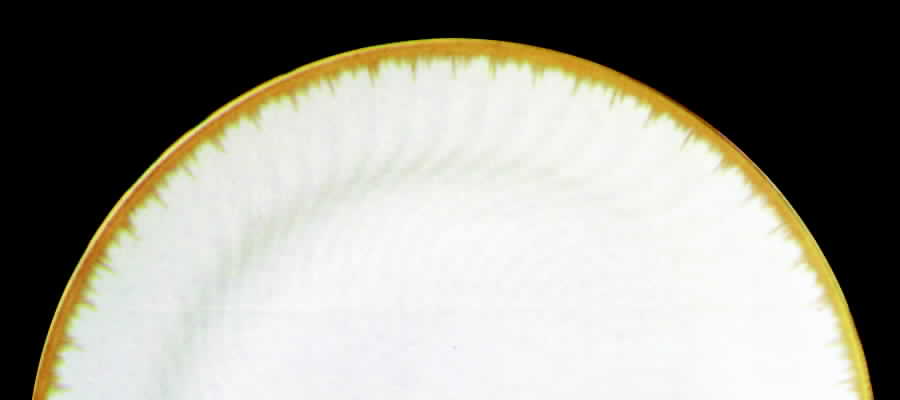 Belvedere Dinner Plate by Tirschenreuth-1