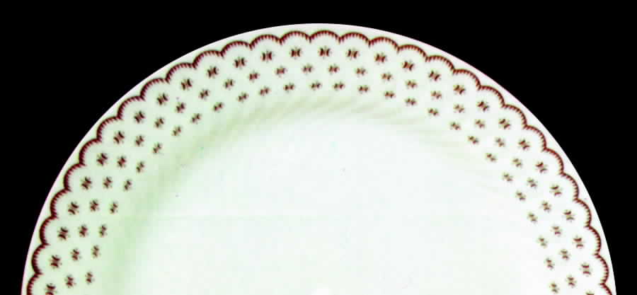 Florenza Dinner Plate by Tirschenreuth-1