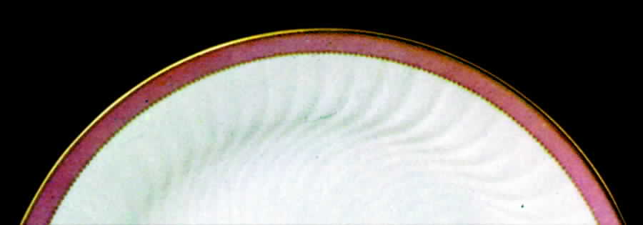 Residenz Dinner Plate by Tirschenreuth-1