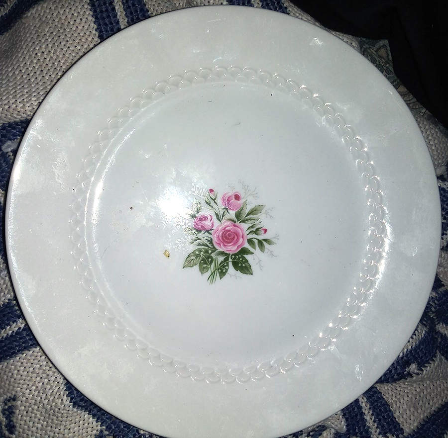 Rosengarten Dinner Plate by Tirschenreuth-1