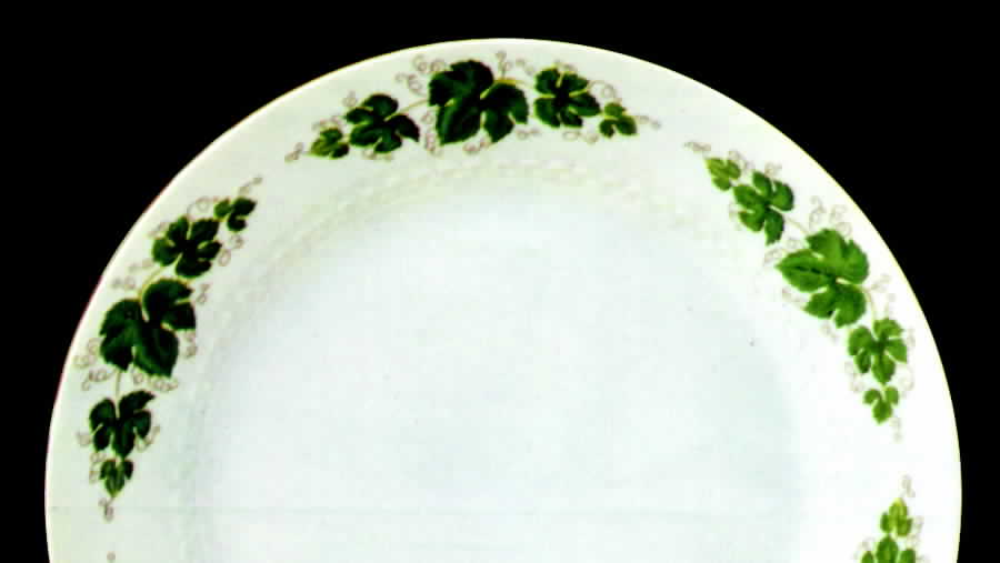 Weinlaub Dinner Plate by Tirschenreuth-1