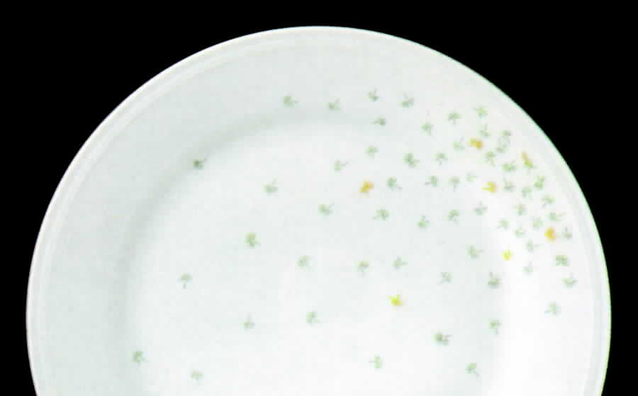 Pavone Dinner Plate by Tirschenreuth-1