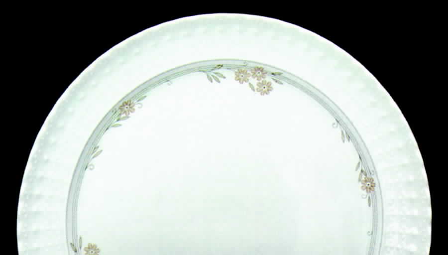 Mon Amie Dinner Plate by Tirschenreuth-1