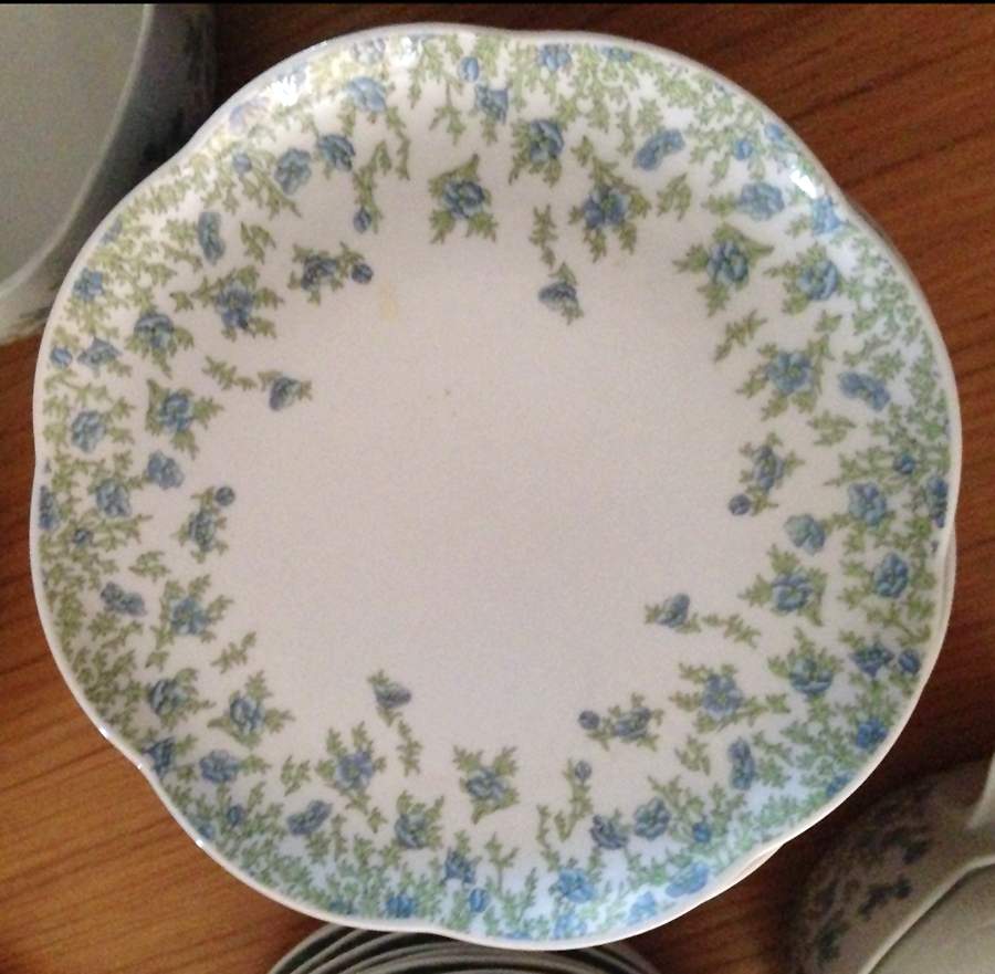 Fiorita Dinner Plate by Tirschenreuth-1