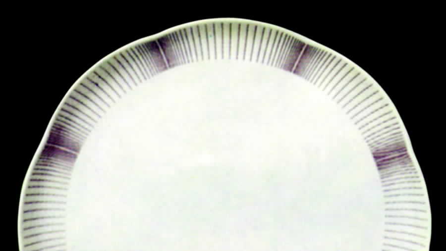 Lineato Dinner Plate by Tirschenreuth-1