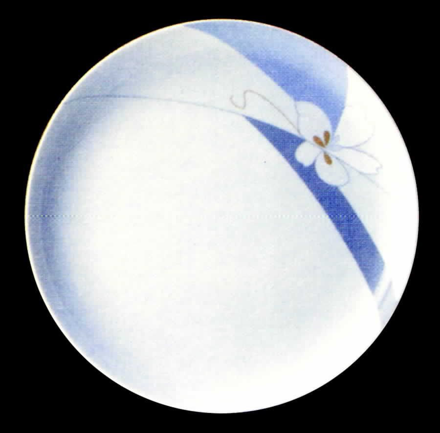 15004 Dinner Plate by Tirschenreuth-1