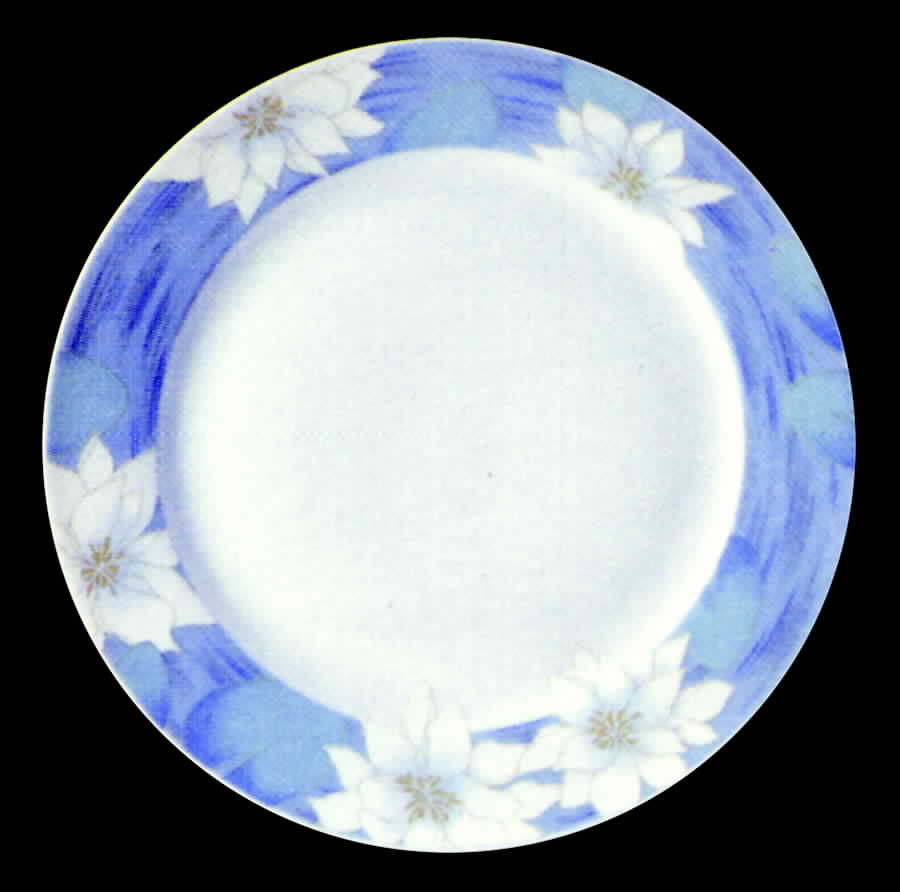 15007 Dinner Plate by Tirschenreuth-1
