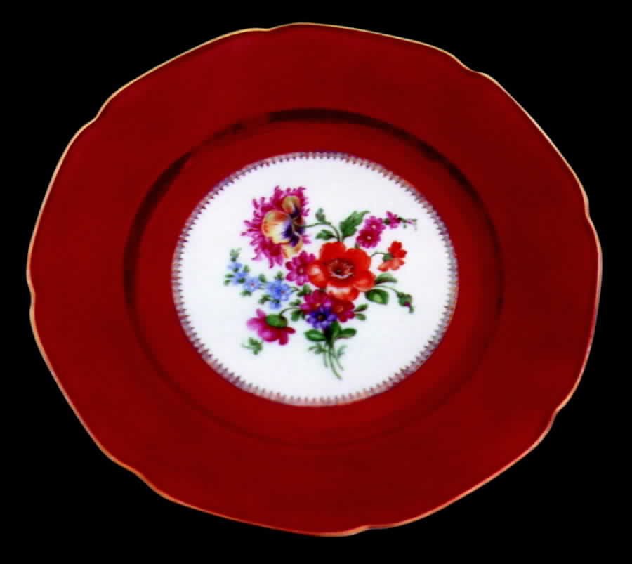 TIR181 Dinner Plate by Tirschenreuth-1