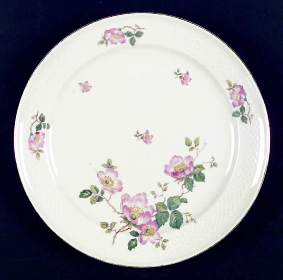 07195 Dinner Plate by Thomas-1