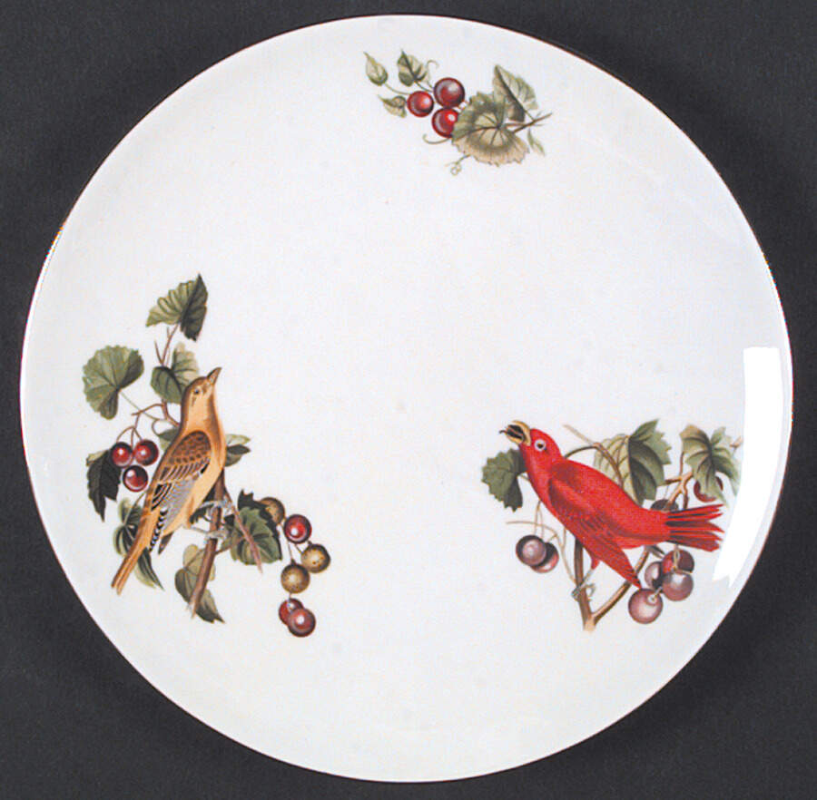 Audubon Birds Coupe Salad Plate by Tuscan - Royal Tuscan-1