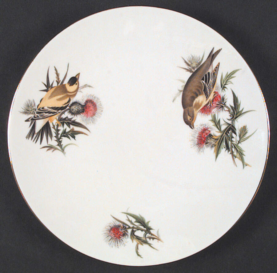 Audubon Birds Coupe Salad Plate by Tuscan - Royal Tuscan-1