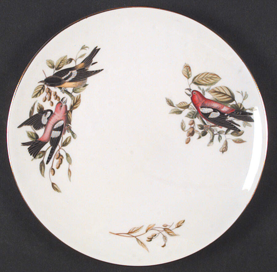 Audubon Birds Coupe Salad Plate by Tuscan - Royal Tuscan-1