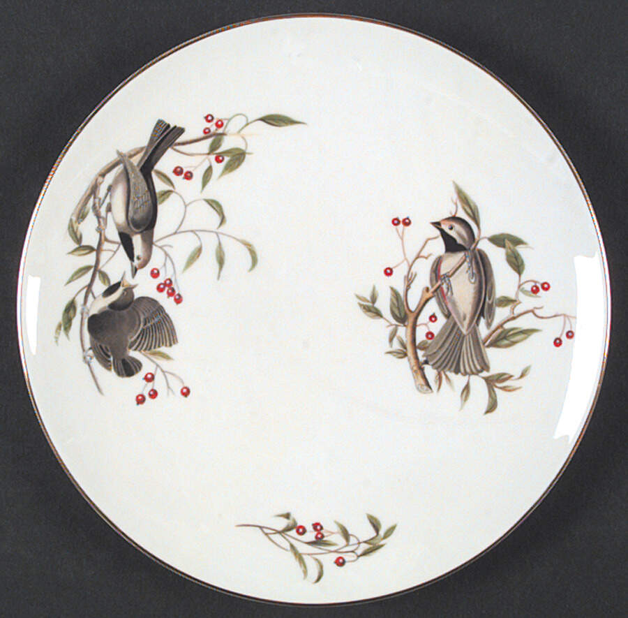 Audubon Birds Coupe Salad Plate by Tuscan - Royal Tuscan-1
