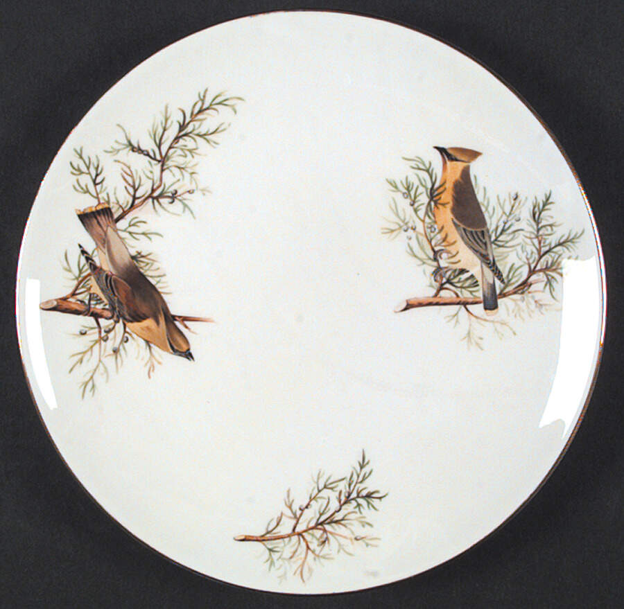 Audubon Birds Coupe Salad Plate by Tuscan - Royal Tuscan-1