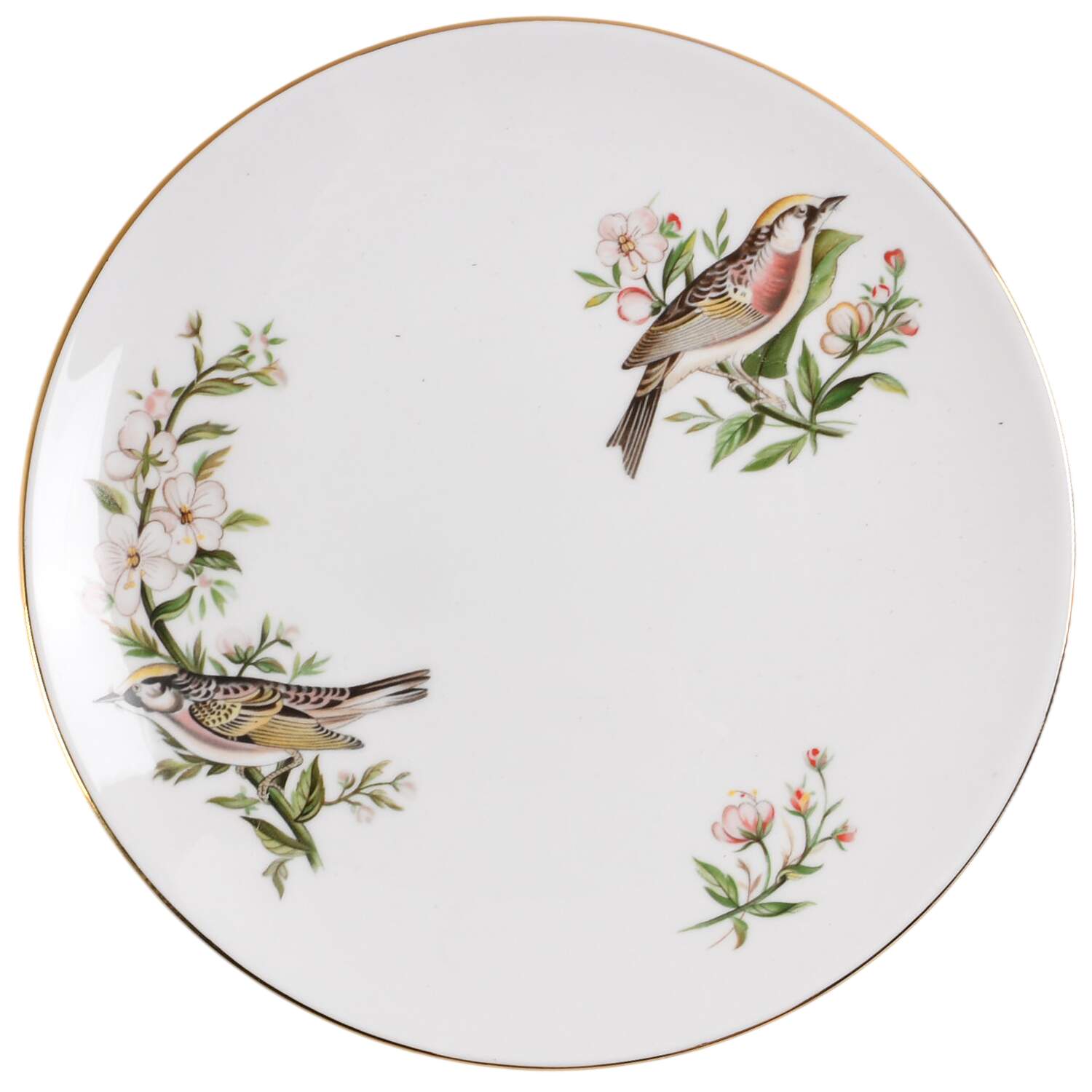 Audubon Birds Coupe Salad Plate by Tuscan - Royal Tuscan-1