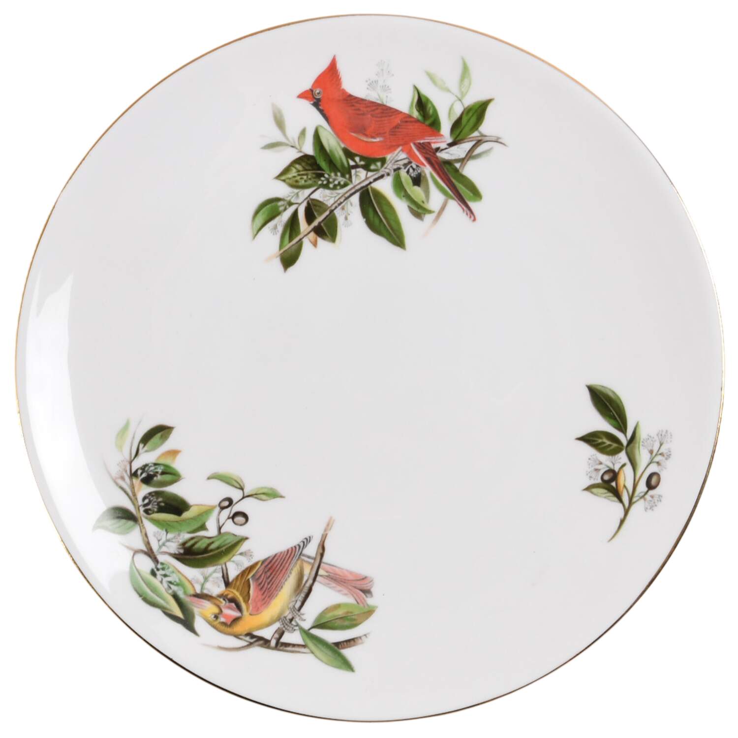 Audubon Birds Coupe Salad Plate by Tuscan - Royal Tuscan-1