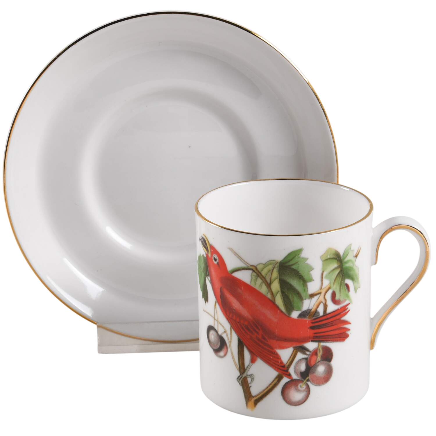 Audubon Birds Flat Demitasse Cup & Saucer Set by Tuscan - Royal Tuscan-1