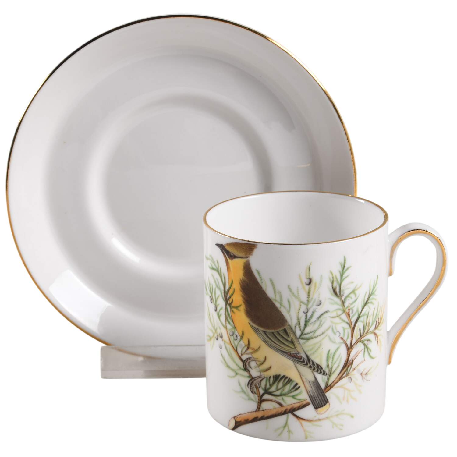 Audubon Birds Flat Demitasse Cup & Saucer Set by Tuscan - Royal Tuscan-1