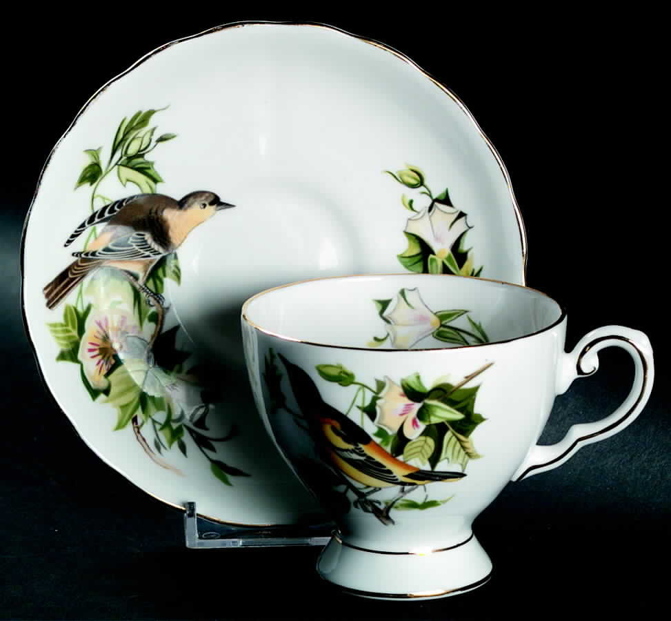 Audubon Birds Footed Cup & Saucer Set by Tuscan - Royal Tuscan-1