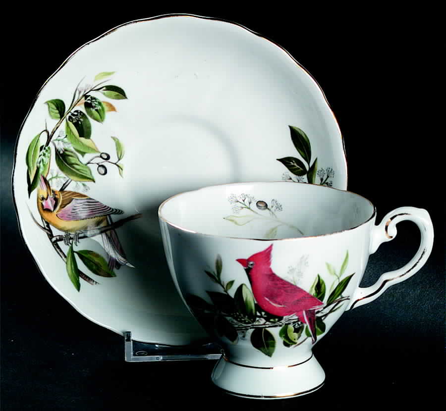 Audubon Birds Footed Cup & Saucer Set by Tuscan - Royal Tuscan-1