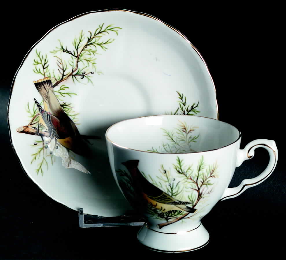 Audubon Birds Footed Cup & Saucer Set by Tuscan - Royal Tuscan-1