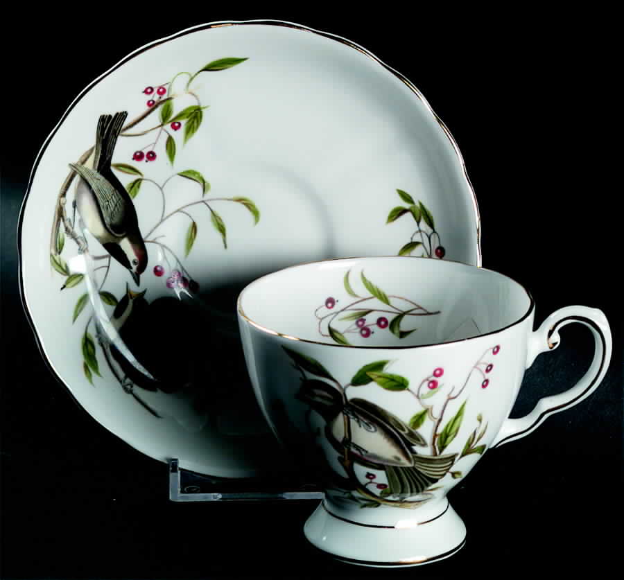 Audubon Birds Footed Cup & Saucer Set by Tuscan - Royal Tuscan-1
