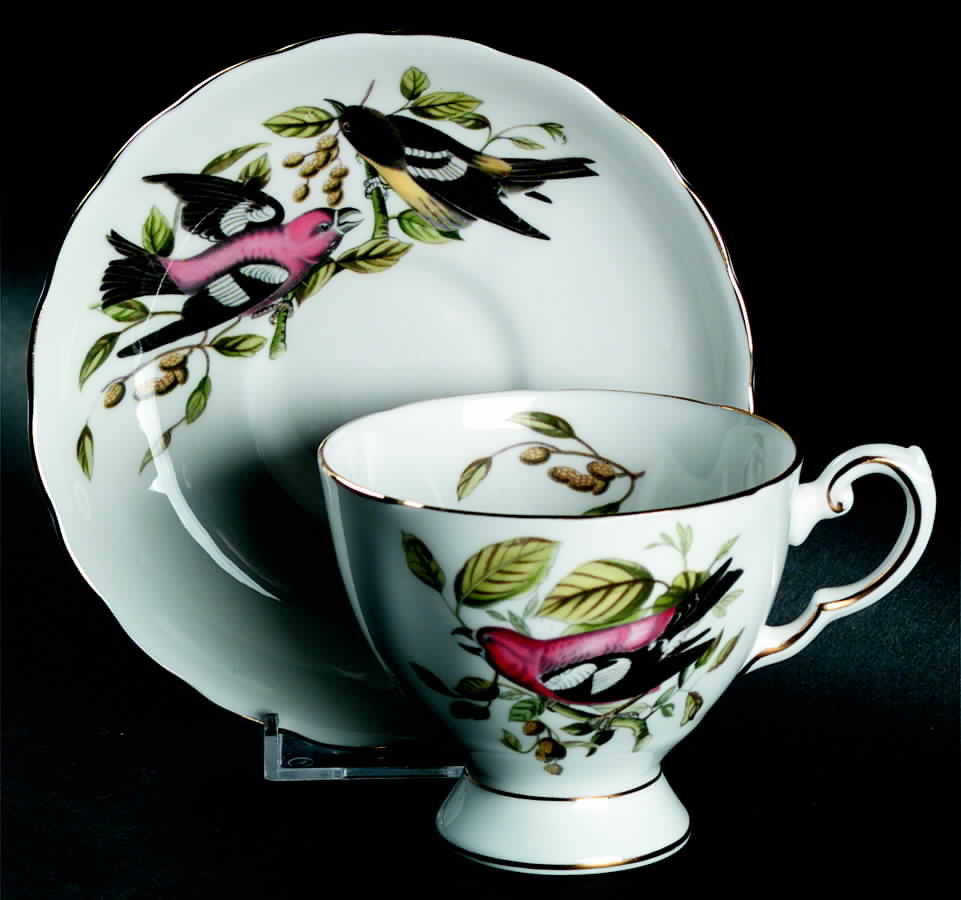 Audubon Birds Footed Cup & Saucer Set by Tuscan - Royal Tuscan-1