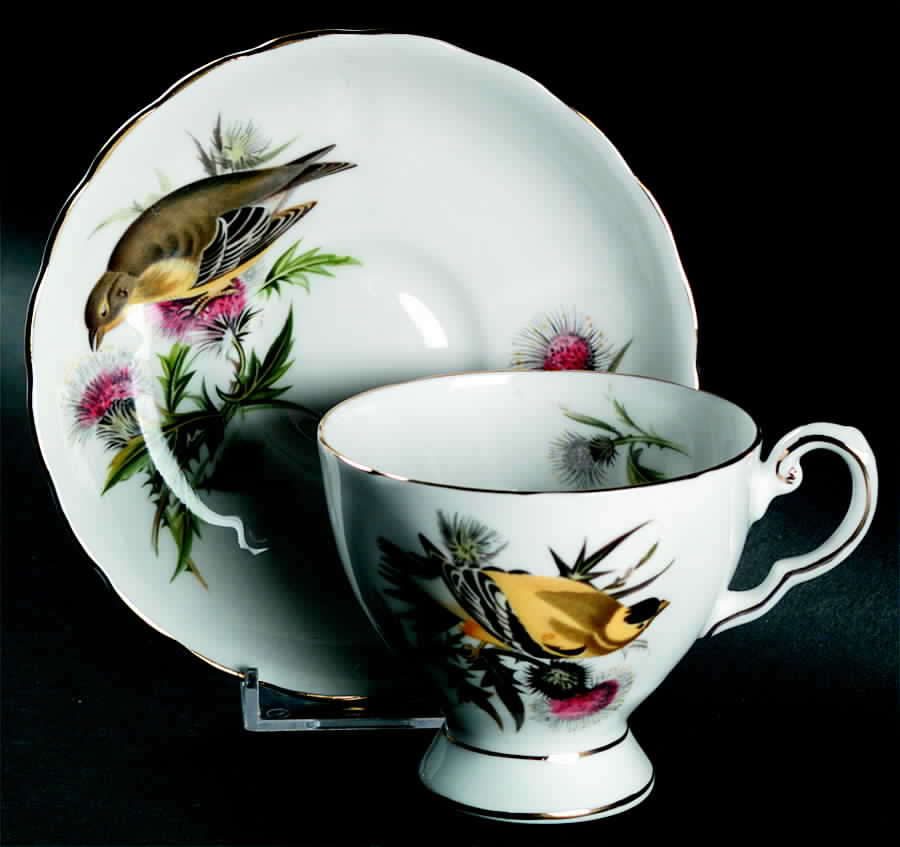Audubon Birds Footed Cup & Saucer Set by Tuscan - Royal Tuscan-1