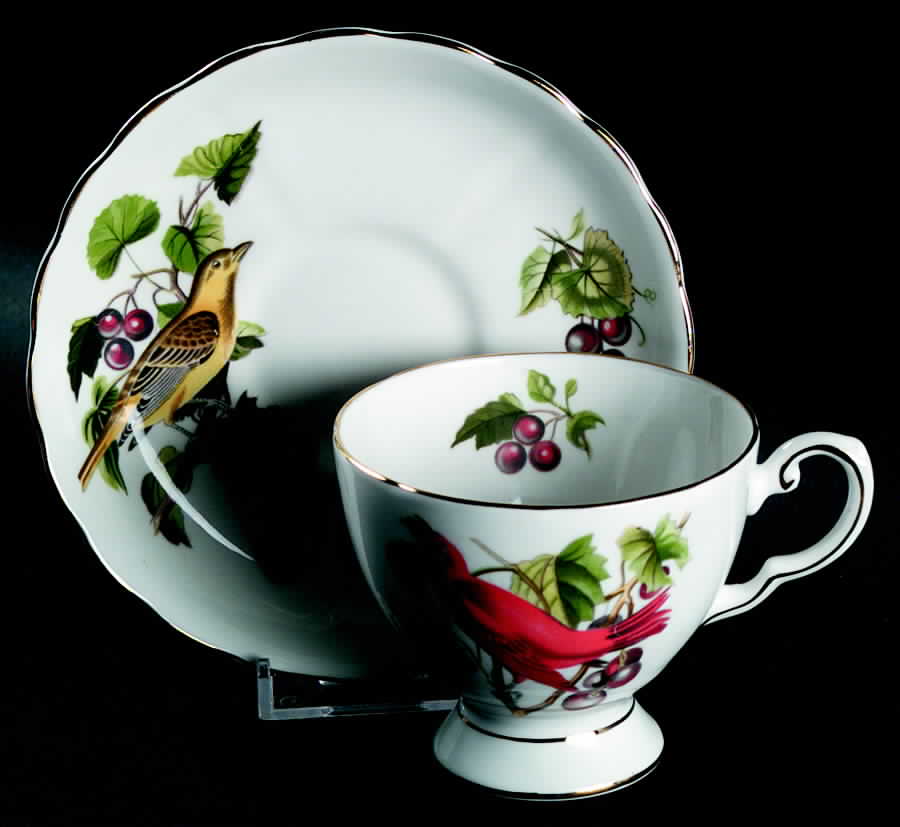 Audubon Birds Footed Cup & Saucer Set by Tuscan - Royal Tuscan-1