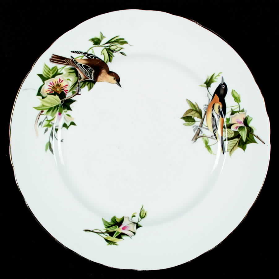 Audubon Birds Salad Plate by Tuscan - Royal Tuscan-1