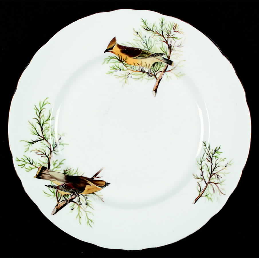 Audubon Birds Salad Plate by Tuscan - Royal Tuscan-1