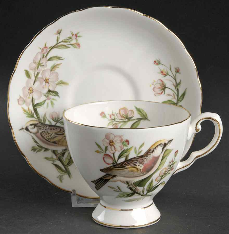 Audubon Birds Footed Cup & Saucer Set by Tuscan - Royal Tuscan-1