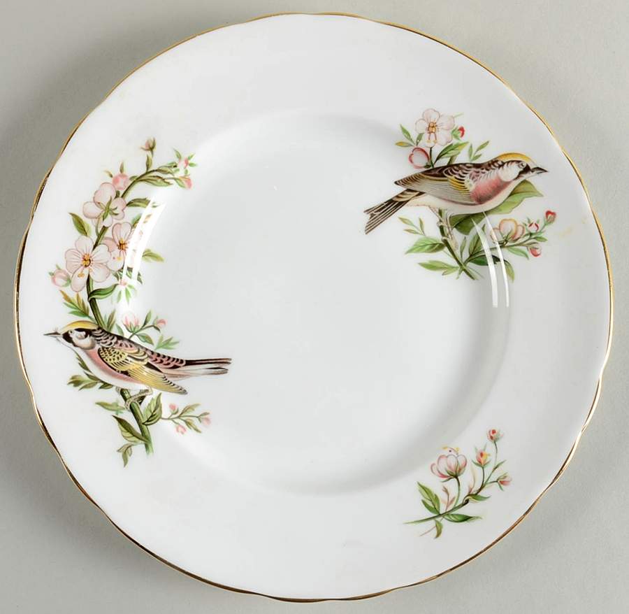 Audubon Birds Salad Plate by Tuscan - Royal Tuscan-1