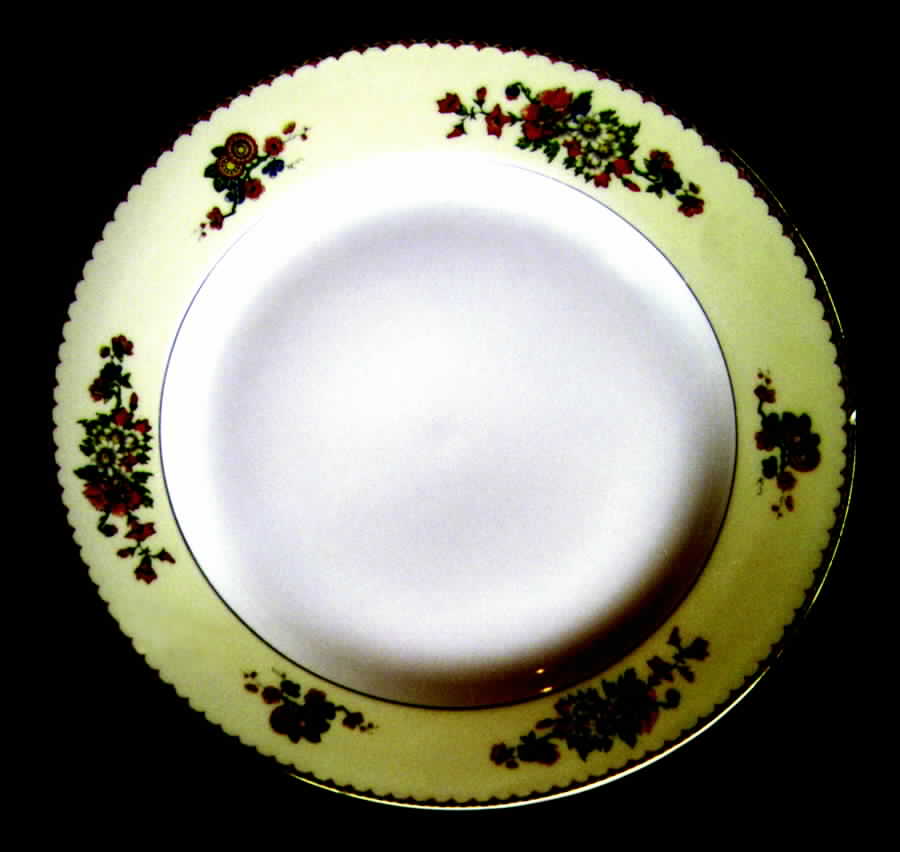 TRV207 Dinner Plate by Tressemanes & Vogt-1