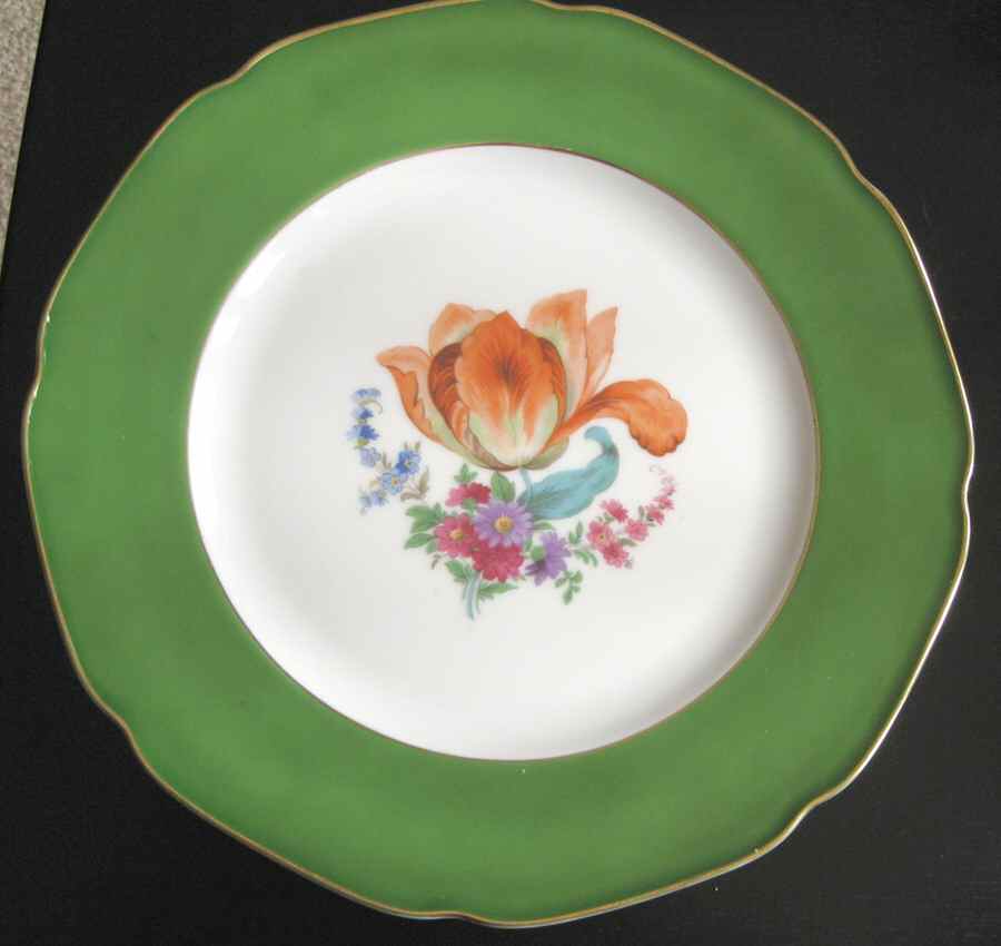 TIR187 Dinner Plate by Tirschenreuth-1