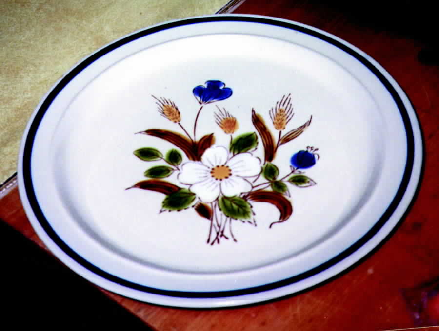 Harvest Dinner Plate by Towne House-1