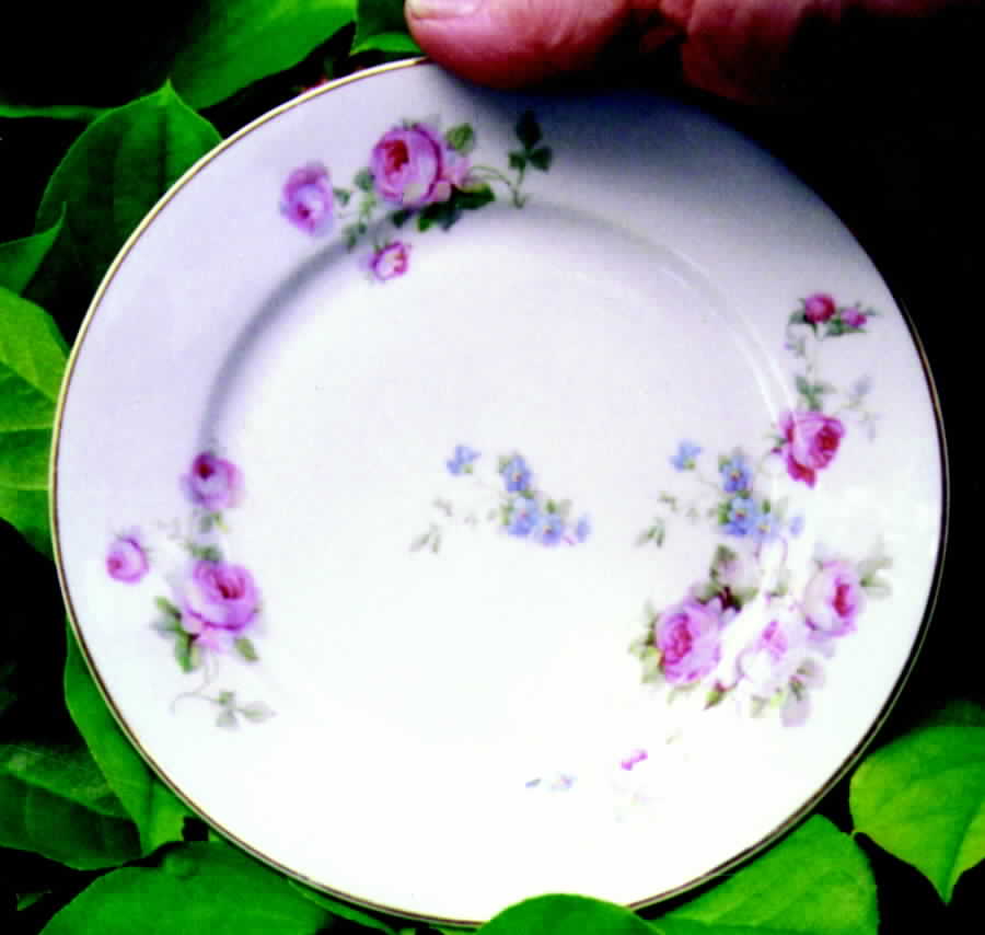 THU155 Salad Plate by Thun-1
