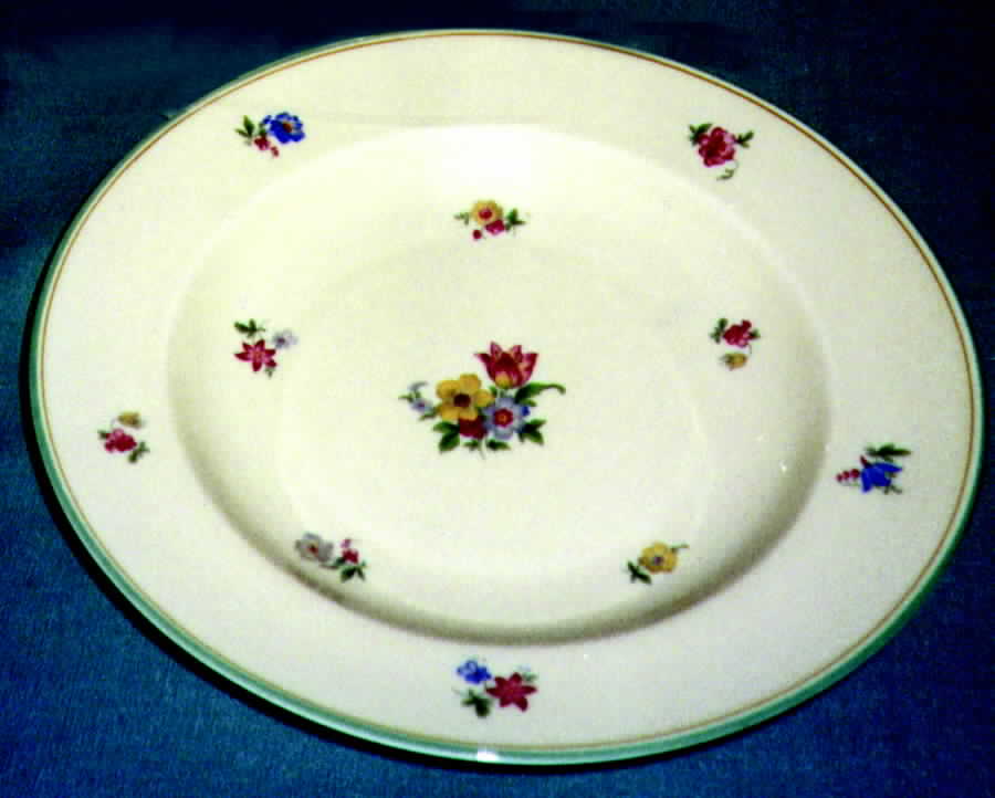 07278 Rim Soup Bowl by Thomas-1
